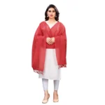 Women's Cotton Silk Strips Printed Dupatta (Maroon, Length:2-2.4 mtr)