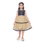 Girl's Fancy Net Net Sleeve Less Round Neck Dress (Blue)