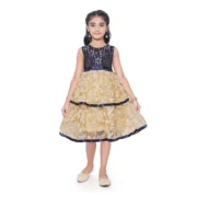 Girl's Fancy Net Net Sleeve Less Round Neck Dress (Blue)