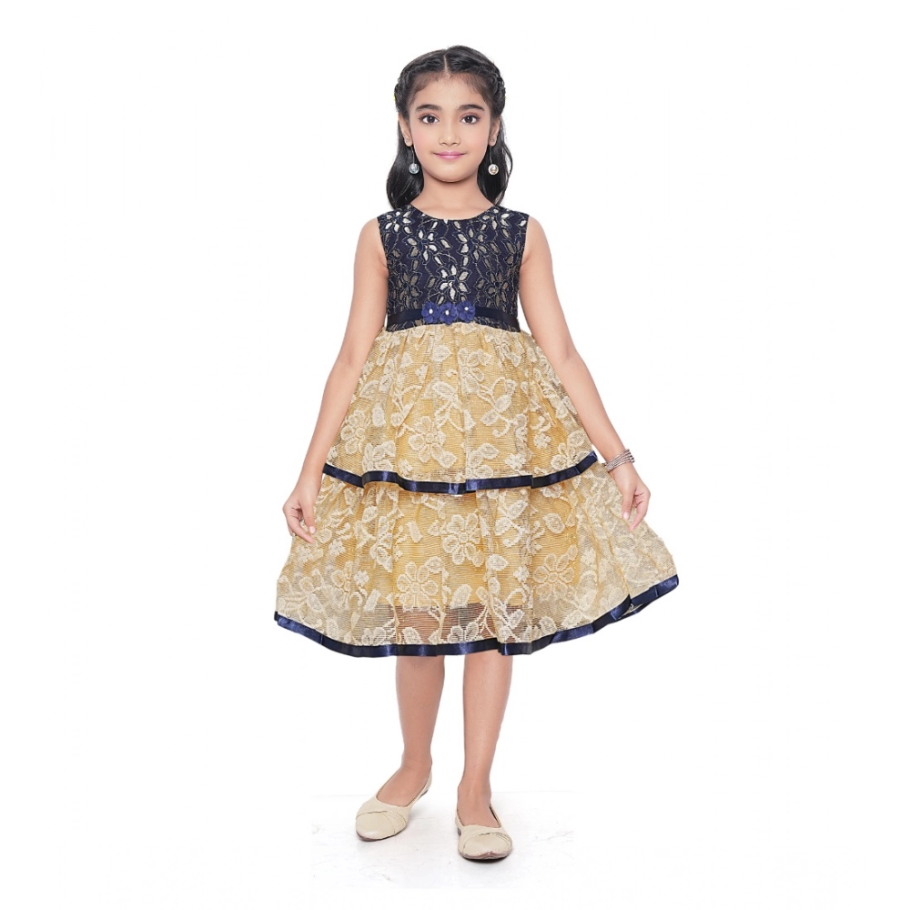 PID-63803-Generic-Girl-s-Fancy-Net-Printed-Sleeve-Less-Round-Neck-Dress-SINGLE-1-1000x1000-1.webp Girl's Fancy Net Net Sleeve Less Round Neck Dress (Blue) - Image 1