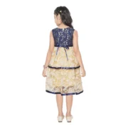 Girl's Fancy Net Net Sleeve Less Round Neck Dress (Blue) - Image 3