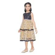 Girl's Fancy Net Net Sleeve Less Round Neck Dress (Blue) - Image 4