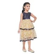 Girl's Fancy Net Net Sleeve Less Round Neck Dress (Blue) - Image 2