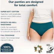 Pack of_3 Women's Cotton Solid Hipster Panty (Multicolor) - Image 3