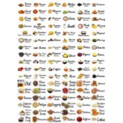Generic Pack of 3 Kitchen Masala Sticker (Multicolor) - Image 2