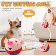 Generic Dancing Piggy Ball (Multicolor) - Image 4