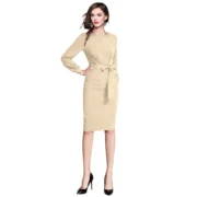 Generic Women's Knitting stretchable Solid Round Neck Full Sleeve Dress (Beige ) - Image 2
