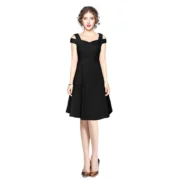 Generic Women's Polyester Solid V Neck Cap Sleeve off Shoulder Dress (Black)