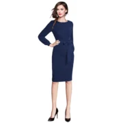 Generic Women's Knitting stretchable Solid Round Neck Full Sleeve Dress (Blue) - Image 4