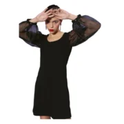 Generic Women's Organza And Polyester Lycra Solid Long Sleeves Dress (Black)